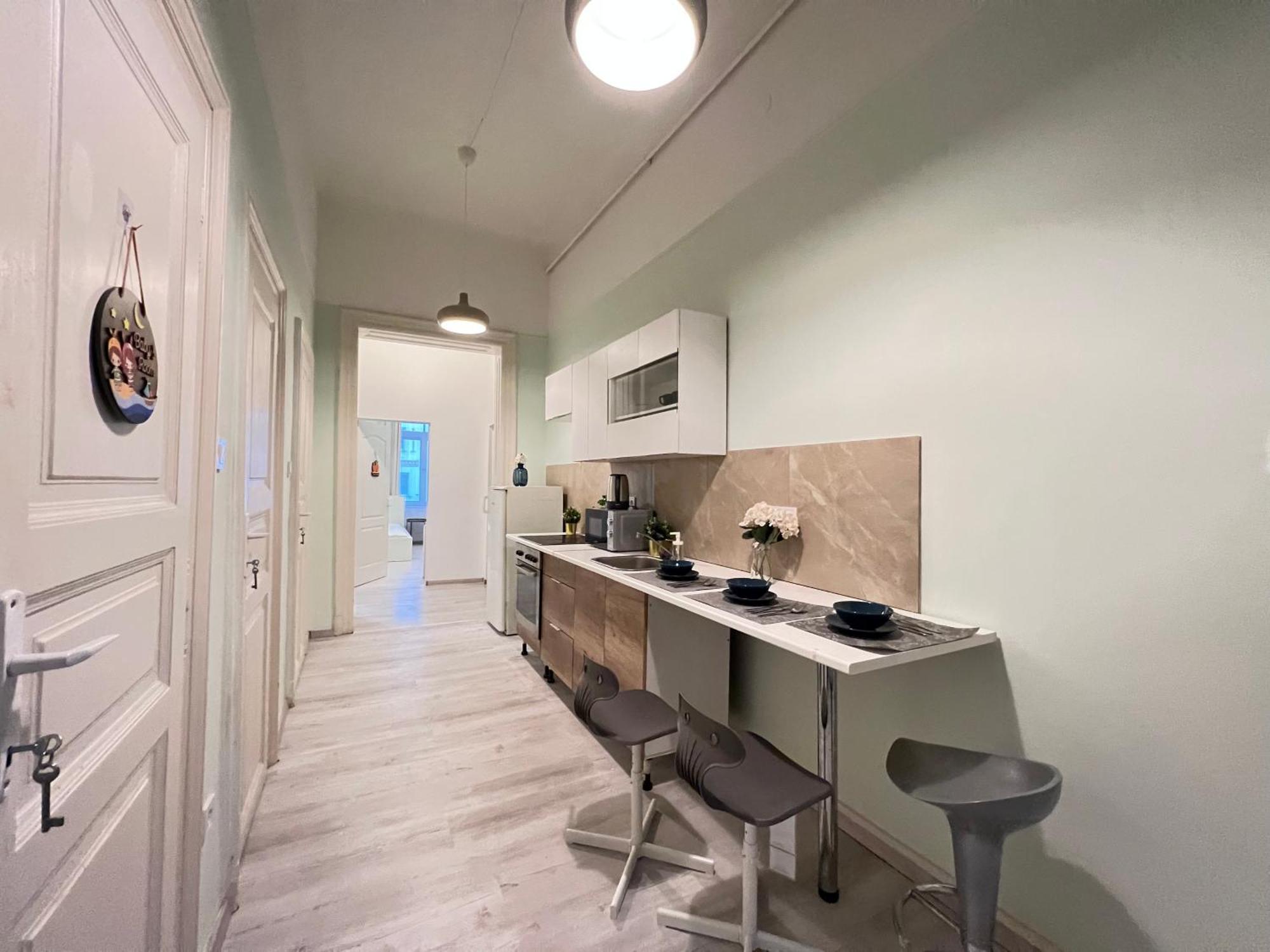 Baross Apartment With Convenience And Style 布达佩斯 外观 照片